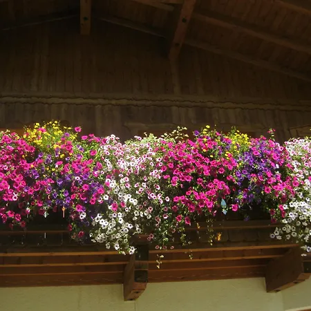 Appartement Haus Reiterer *