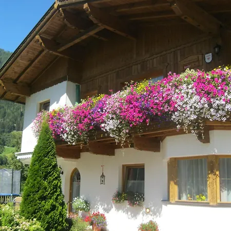 Apartment Haus Reiterer *
