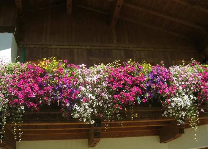 Apartmán Haus Reiterer *